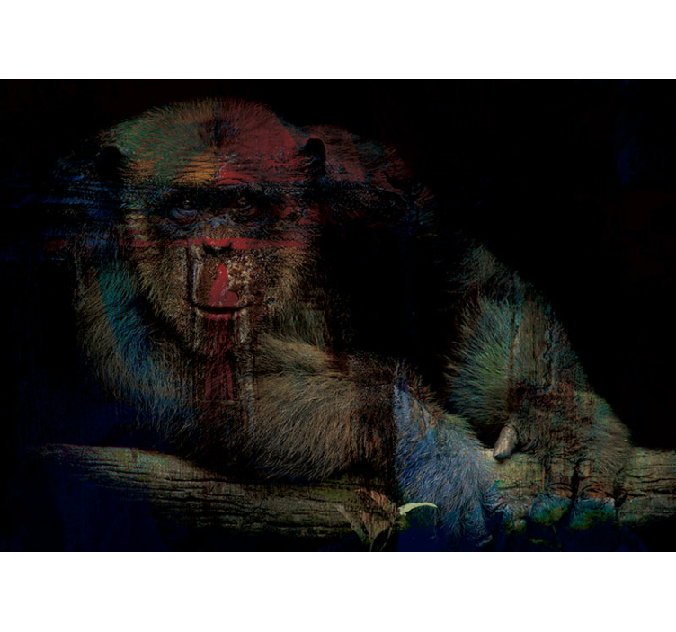 Mysterious Primate Face animals wall mural - TenStickers