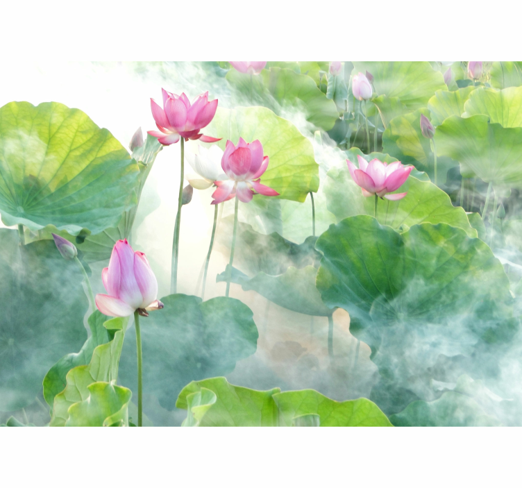 Peaceful lotus flowers wall mural - TenStickers
