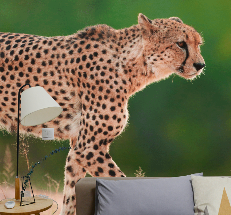 Animals wall mural cheetah in motion - TenStickers