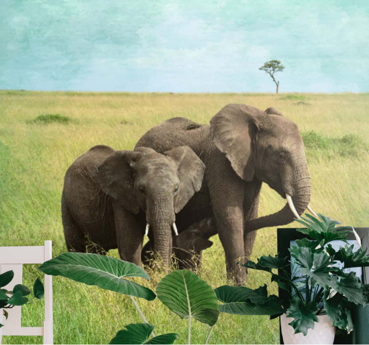 Animals wall mural elephants in grassland - TenStickers