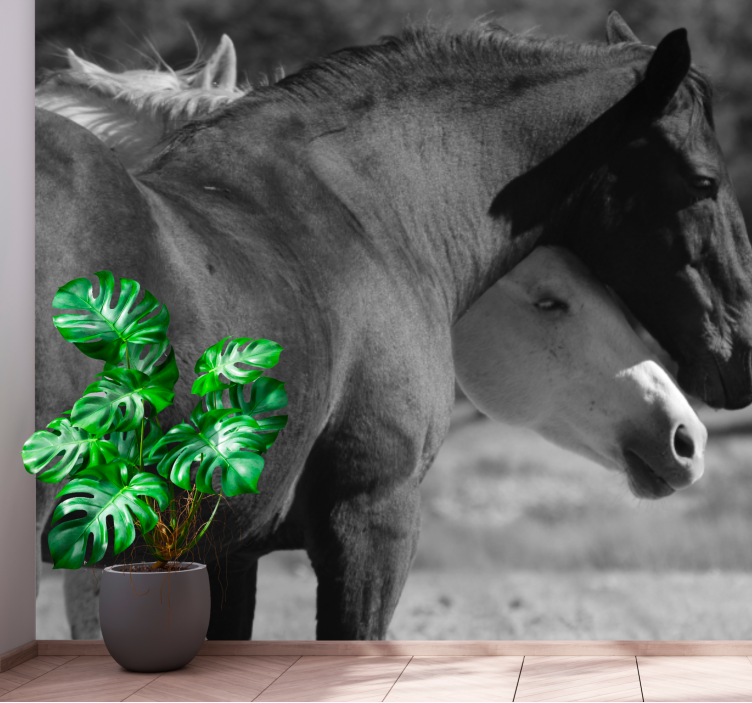 Animals wall mural horse companionship - TenStickers