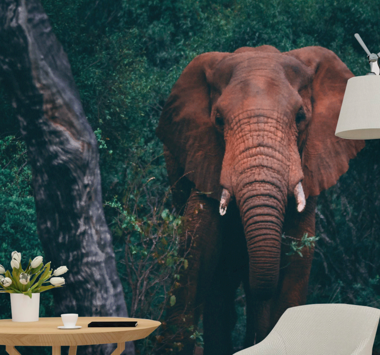 Animals wall mural majestic elephant presence - TenStickers