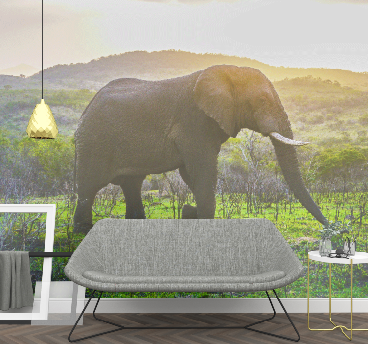 Animals wall mural majestic elephant scene - TenStickers