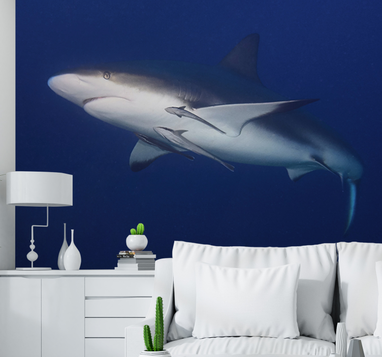 Animals wall mural majestic shark swim - TenStickers