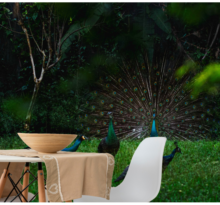 Animals wall mural peacock displaying feathers - TenStickers