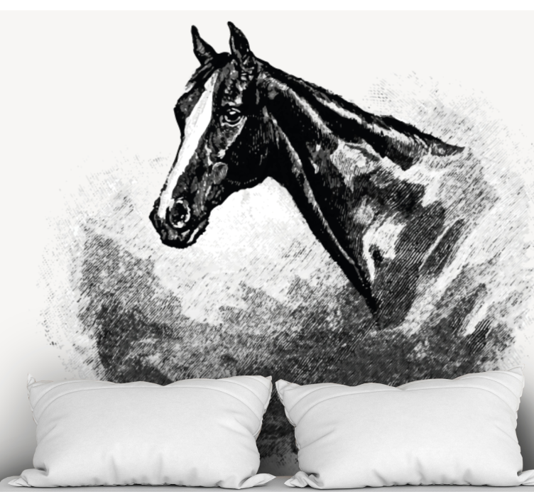 Animals wall mural stallion head decor - TenStickers