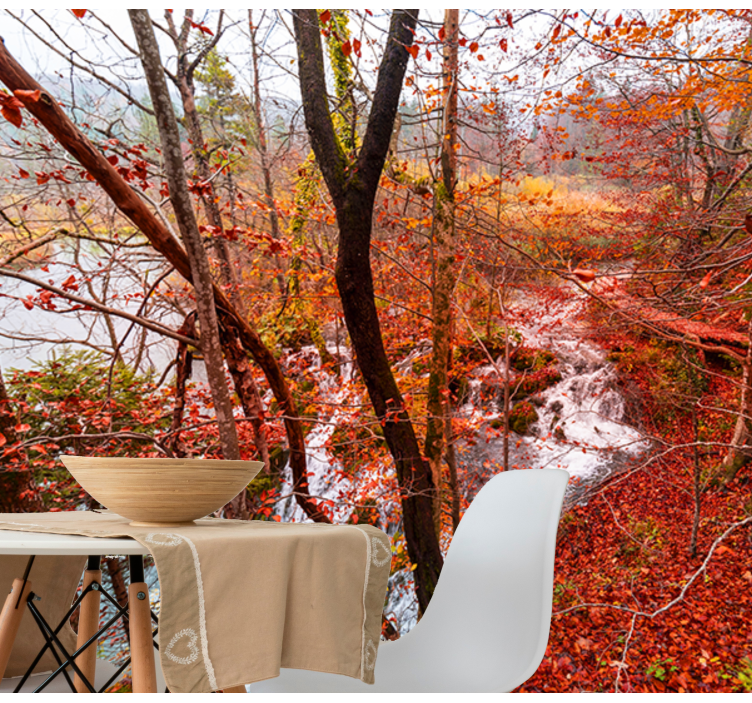 Autumn Forest Scene wall mural nature - TenStickers