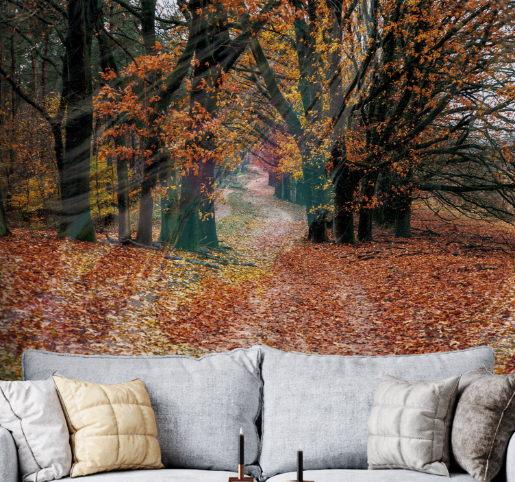 Autumn pathway forest wall mural - TenStickers