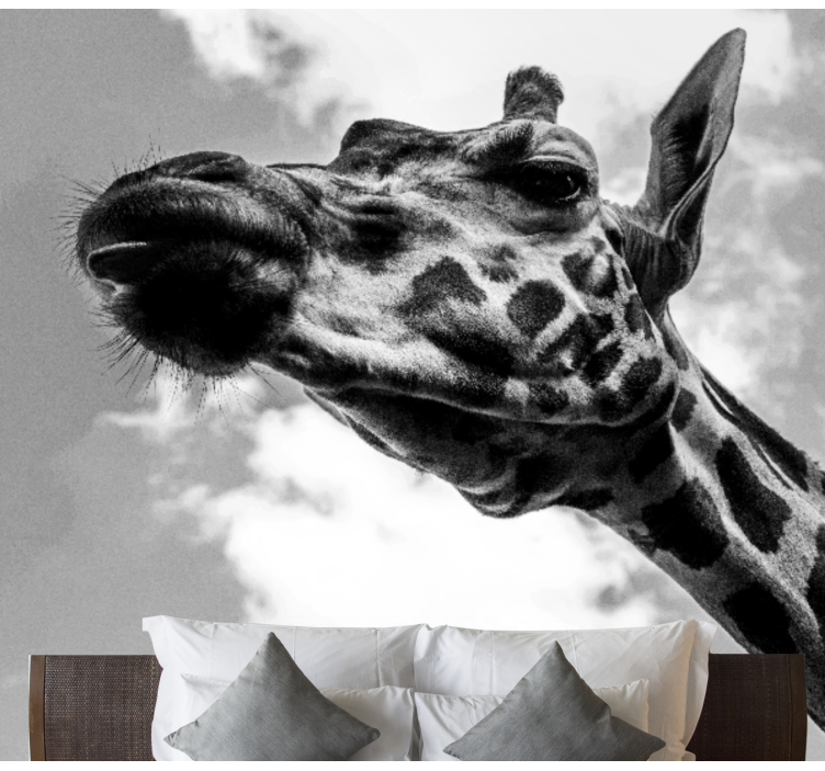 Black and white giraffe wall mural - TenStickers