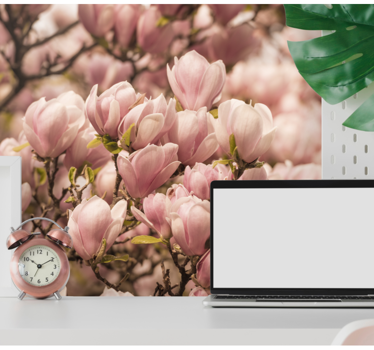 Blooming Magnolia flower wall mural - TenStickers