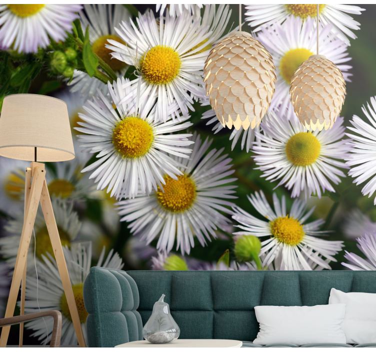 Charming white daisies flower wall mural - TenStickers