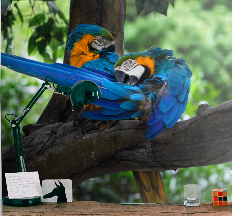 Colorful parrots in the jungle wall mural - TenStickers