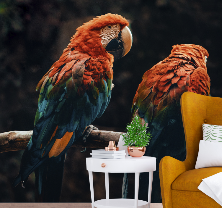 Colorful Parrots Together animals wall mural - TenStickers