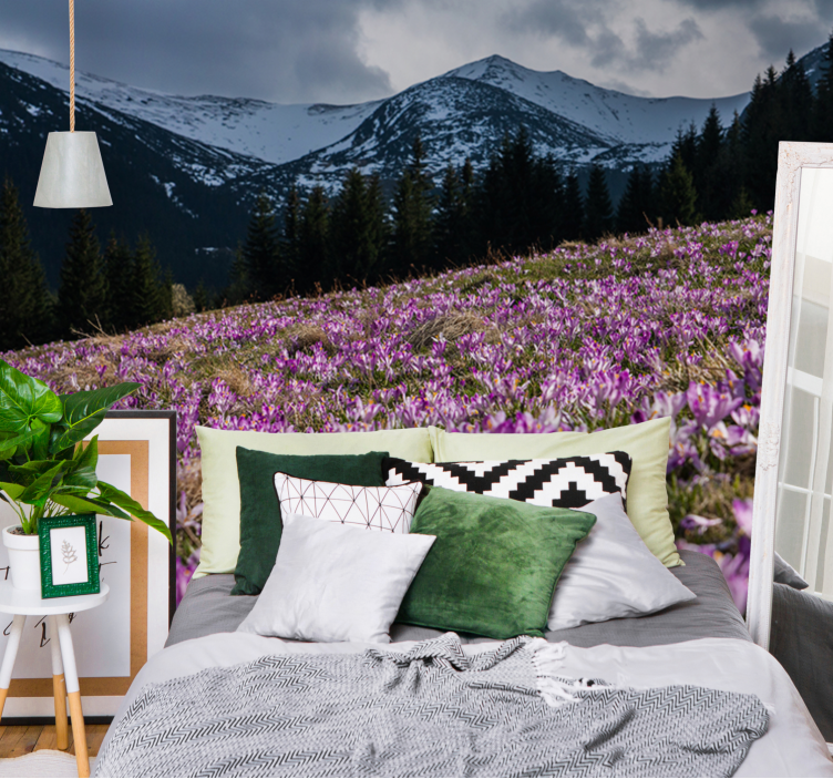 Crocus blossom field flower wall mural - TenStickers