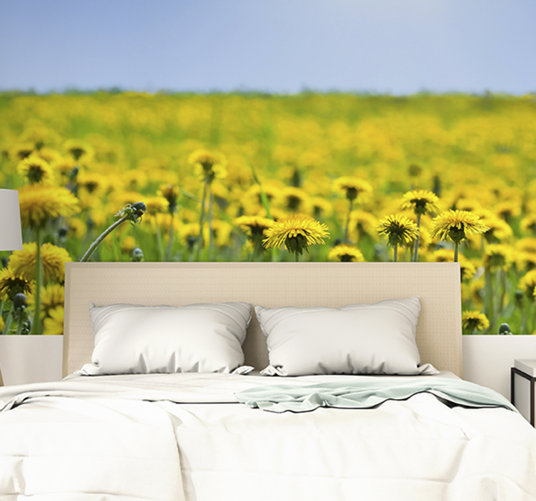 Dandelion field dandelion wall mural - TenStickers