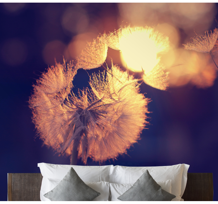 Dandelion Fluff Glow poppy wall mural - TenStickers