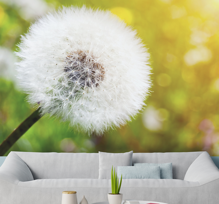 Dandelion wall mural dandelion seed head - TenStickers