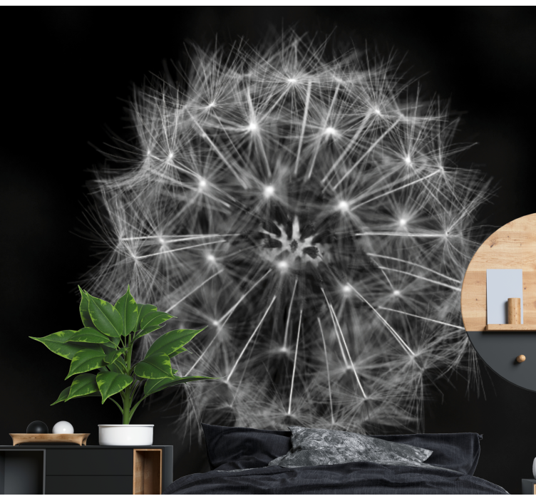 Dandelion wall mural delicate dandelion burst - TenStickers