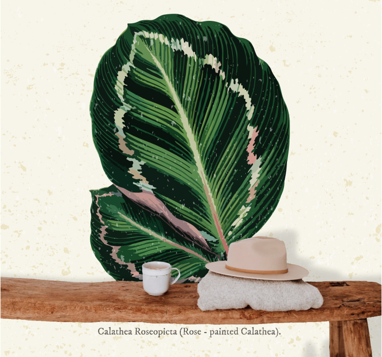 Flower wall mural calathea leaf design - TenStickers