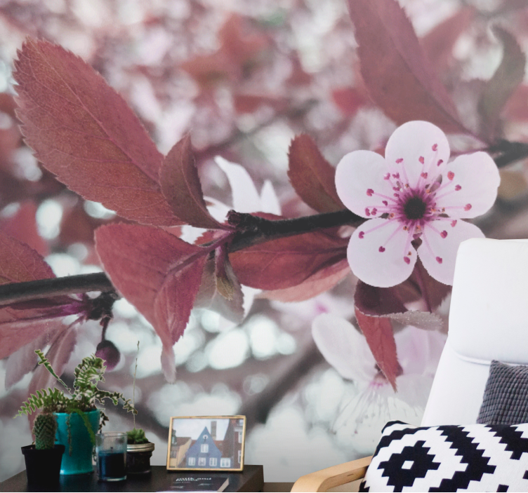 Flower wall mural cherry blossom bloom - TenStickers