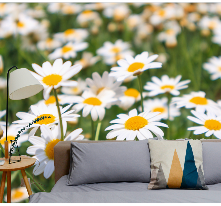 Flower wall mural daisies blooming brightly - TenStickers