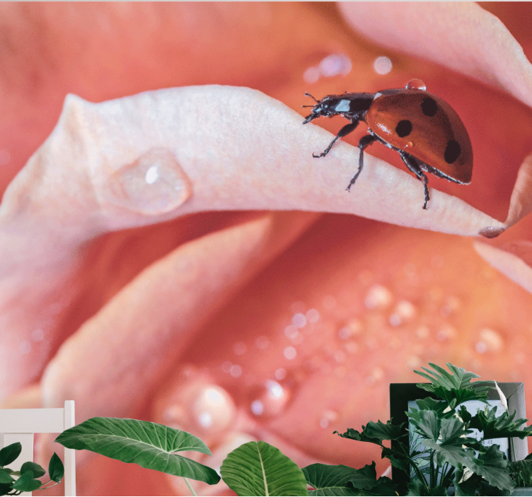 Flower wall mural ladybug on petal - TenStickers