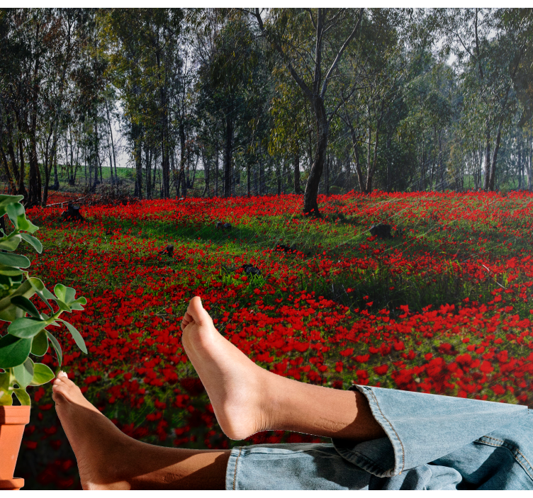 Flower wall mural poppy field tranquility - TenStickers