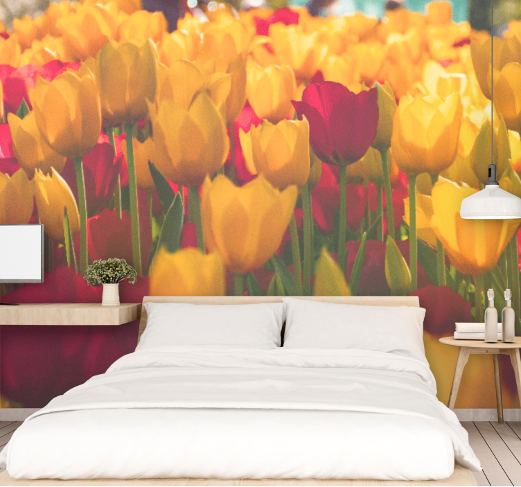 Flower wall mural tulip blossom fields - TenStickers