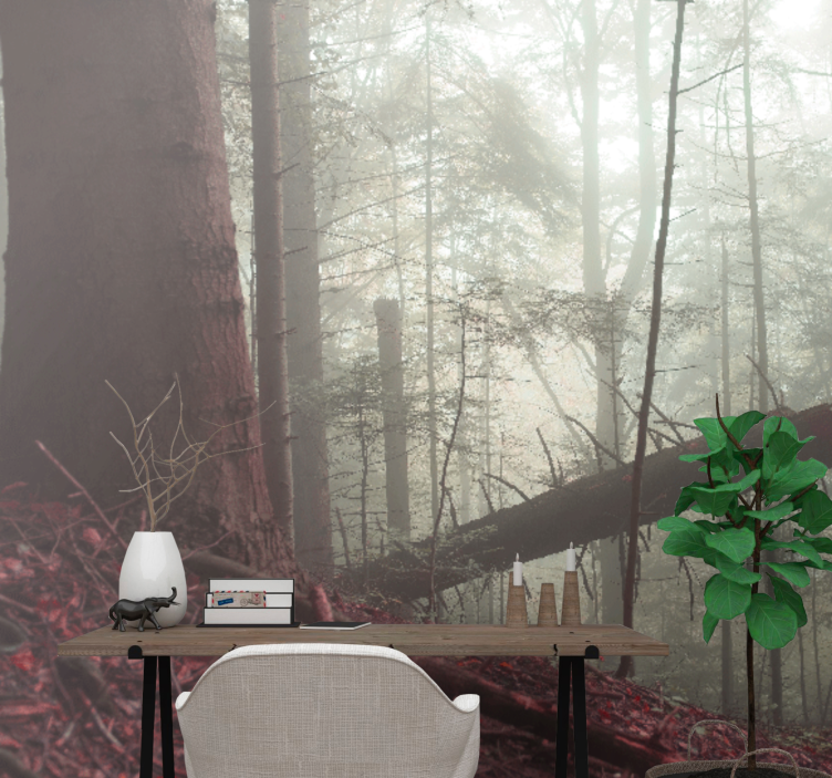Forest wall mural misty woodland scene - TenStickers