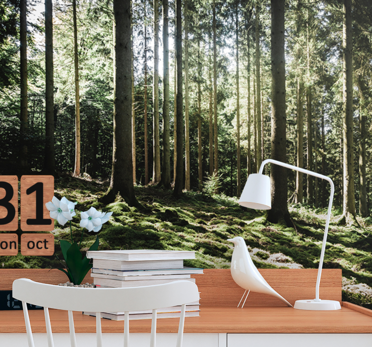 Forest wall mural tranquil forest scene - TenStickers