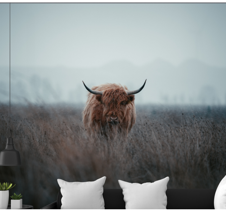 Highland brown cow wall mural nature - TenStickers