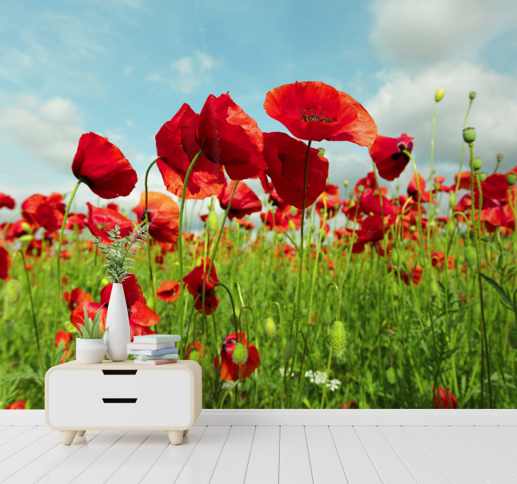 Huge poppy field Poppy Wall Mural - TenStickers