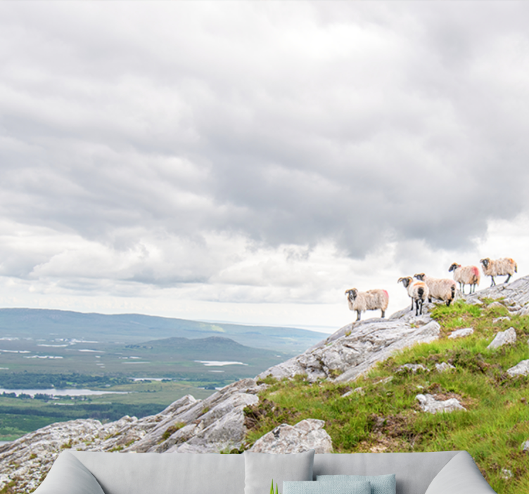 Lambs on slopes animals wall mural - TenStickers