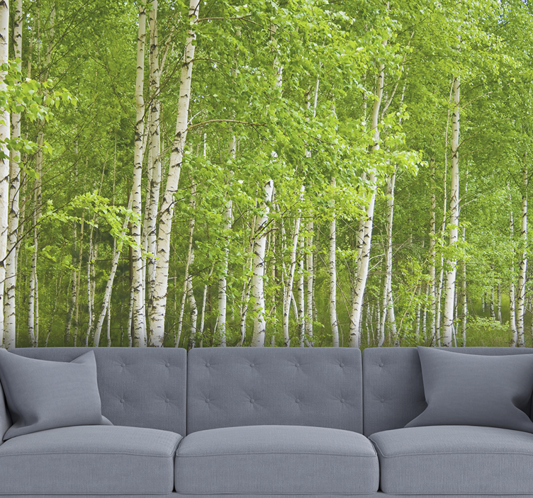 Tree wall mural birch forest - TenStickers