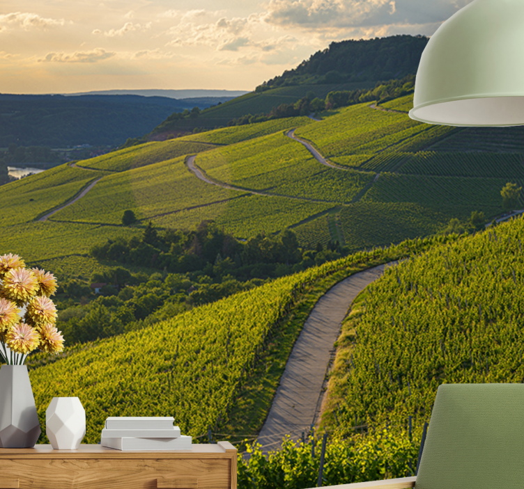 Landscape wall mural vineyard slopes - TenStickers