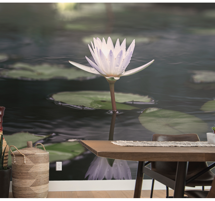 Lotus Blossom Reflection flower wall mural - TenStickers