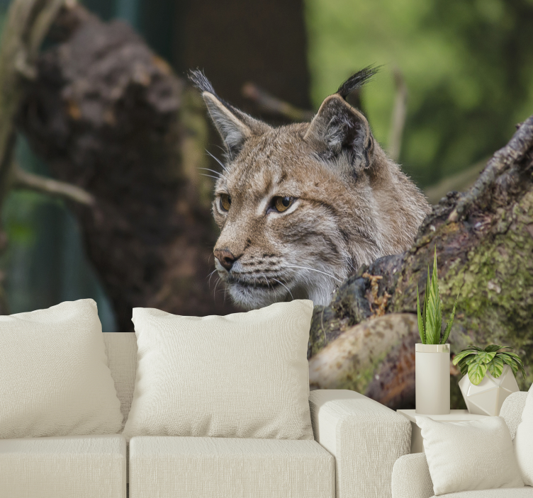 Lynx In Nature animals wall mural - TenStickers