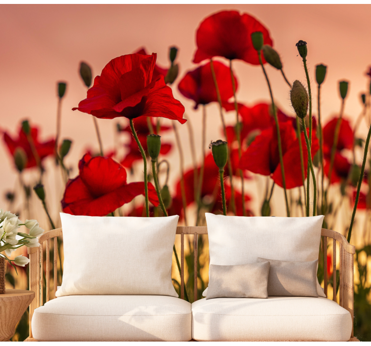 Poppies with a sunset Poppy Wall Mural - TenStickers