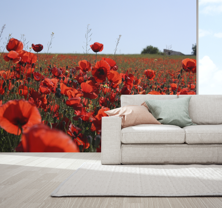 Calmed Field poppy wall mural - TenStickers