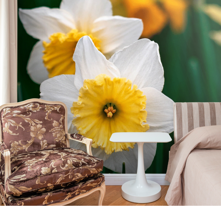 Poppy wall mural daffodil blooming elegance - TenStickers