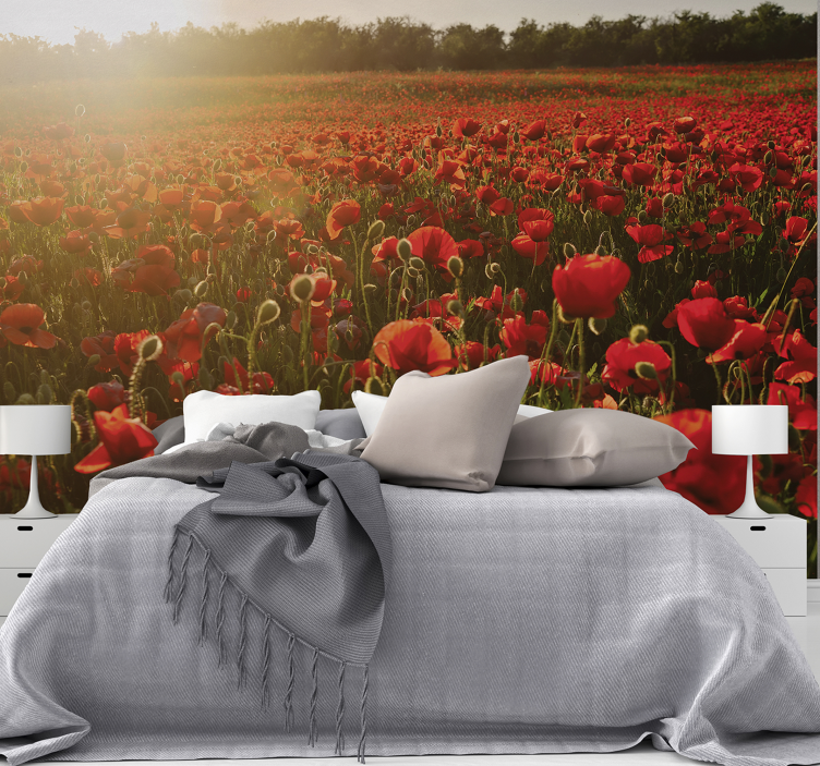 Poppy wall mural poppy meadow blossom - TenStickers