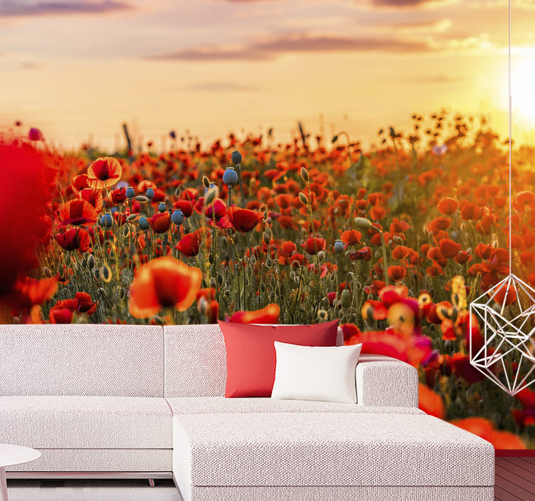 Poppy wall mural radiant poppy field - TenStickers
