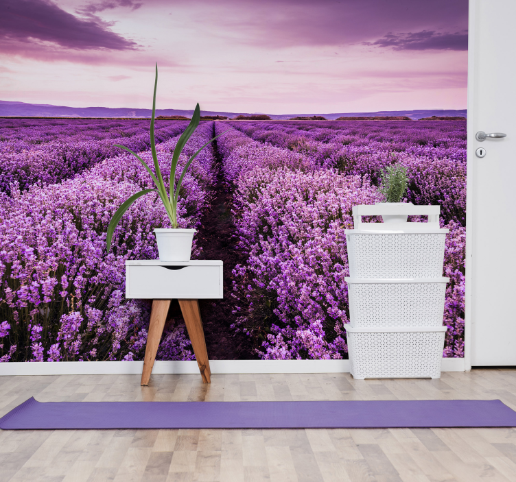 Provence lavender wall mural - TenStickers