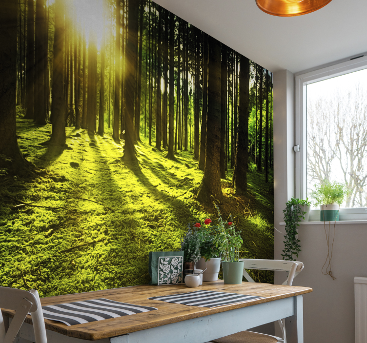 Sunlit Forest forest wall mural - TenStickers