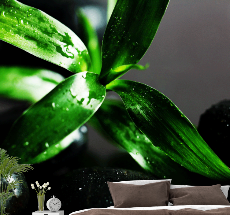 Wall mural nature fresh leaves design - TenStickers