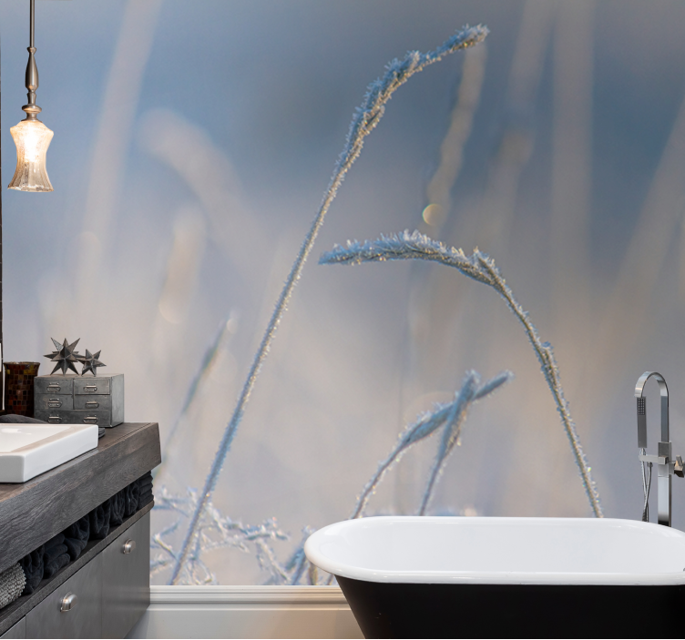 Wall mural nature frosty grass tips - TenStickers