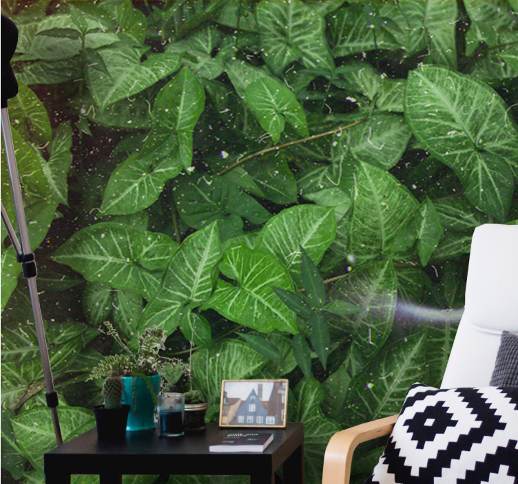 Wall mural nature lively leaf arrangement - TenStickers