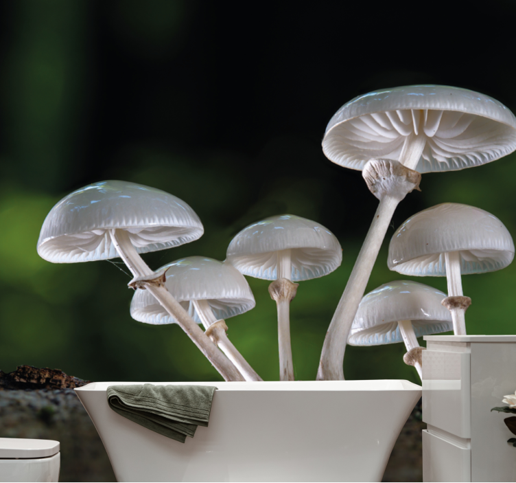 Wall mural nature mushroom cluster growth - TenStickers