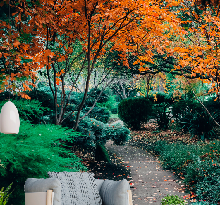 Wall mural nature pathway among trees - TenStickers