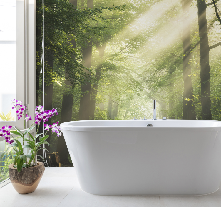 Wall mural nature radiant forest landscape - TenStickers